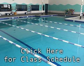 happy fish swim school|Happy Fish Swim School • Fremont, CA • Livermore, CA • Year .